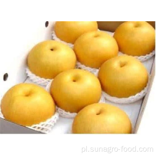 Fresh Quality Golden Crown Pears